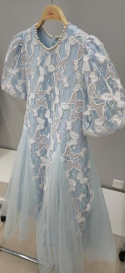 صورة فستان أزرق أنيق مزين بالتل على الفستان